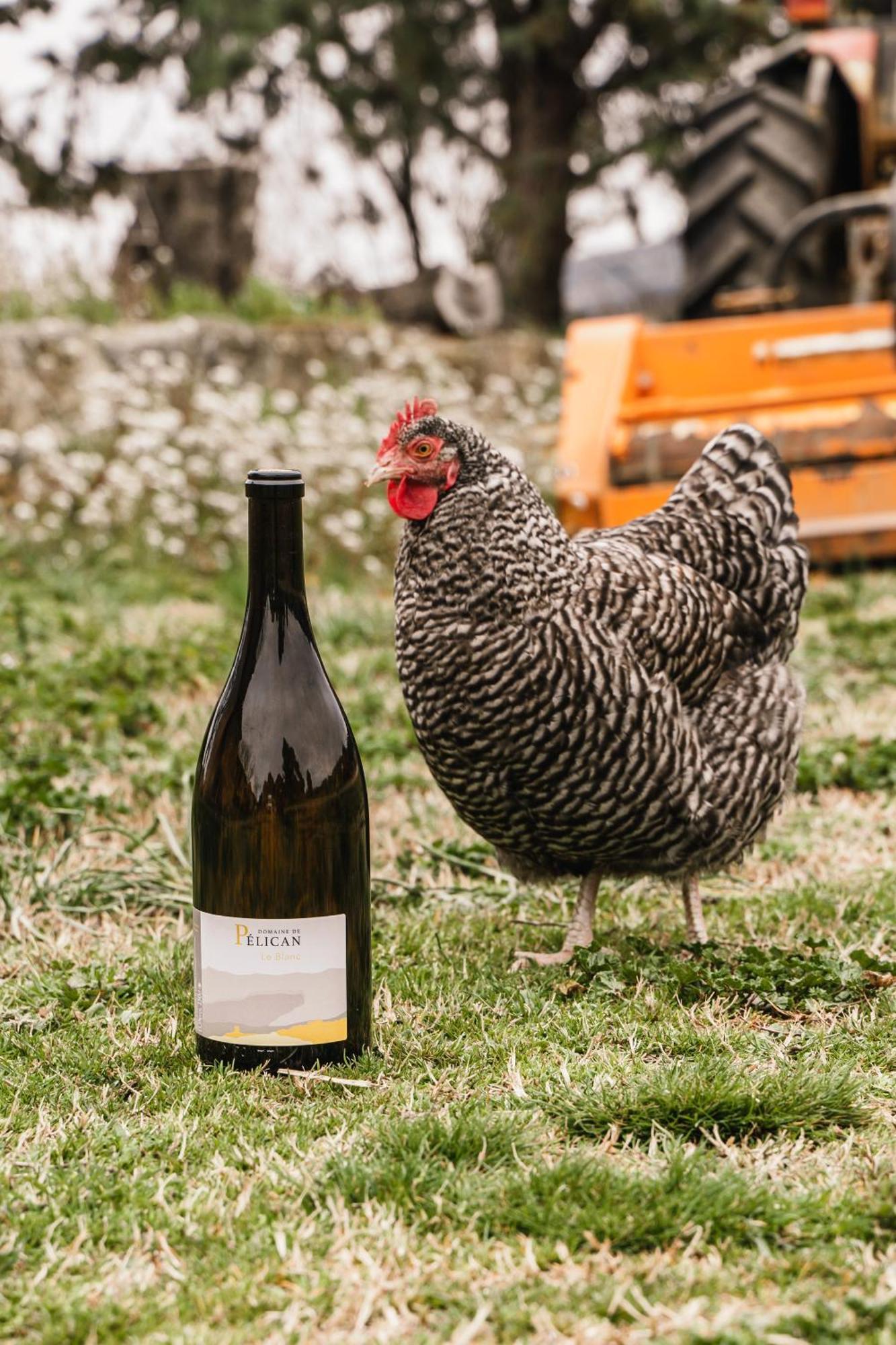 Domaine De Pelican Bed & Breakfast
